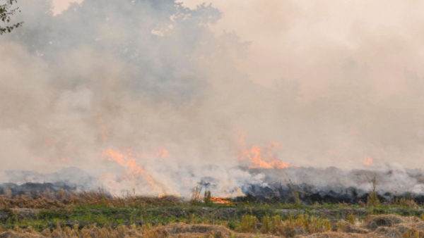 ಪಂಜಾಬ್ ಕಡೆಗೆ ಬೆರಳು ತೋರಿಸಿದ ಕೇಂದ್ರ ಸರ್ಕಾರ 