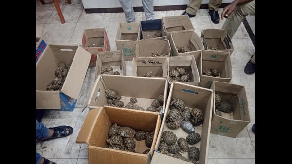 ವಿದೇಶದಲ್ಲಿ ಬಹು ಬೇಡಿಕೆ