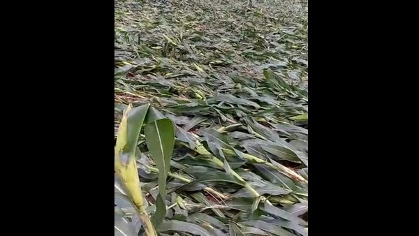  ಹರಿಹರ ಶಾಸಕ ರಾಮಪ್ಪ ಒತ್ತಾಯ