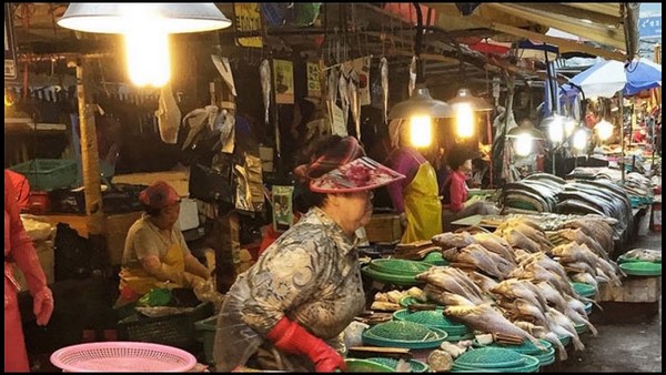 ಝೆಜಿಯಾಂಗ್ ಪ್ರಾಂತ್ಯದಲ್ಲಿ ಪತ್ತೆಯಾದ ಹೊಸ ಮಾದರಿ 