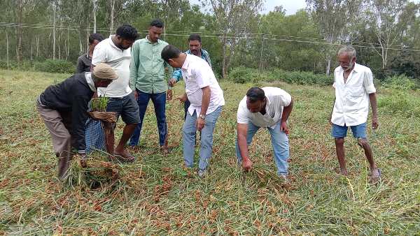 ಚಿಂತೆಯಲ್ಲಿ ಕಾಲ ಕಳೆಯುತ್ತಿರುವ ರೈತರು