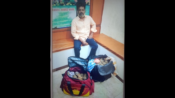 ತಮಿಳುನಾಡಿನ ಕುರ್ವಿಗಳು