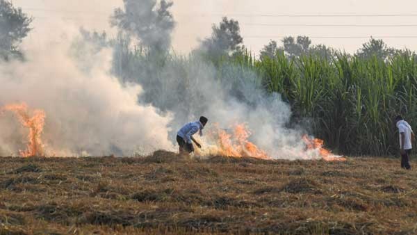 ಸುಪ್ರೀಂಕೋರ್ಟ್ ಎದುರು ಸರ್ಕಾರದ ವಾದ ಮಂಡನೆ 