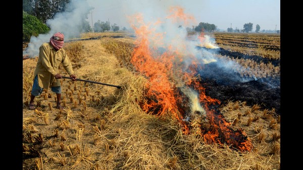 Delhi People sit in 5 star hotels and Blaming farmers for pollution, But why ignore firecrackers: SC