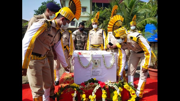 Mangaluru Airport CISF Bomb Detective Dog Lina Dies