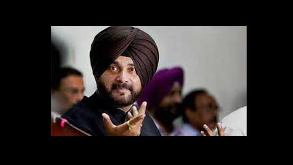 ಕೇಬಲ್ ಮಾಫಿಯಾ