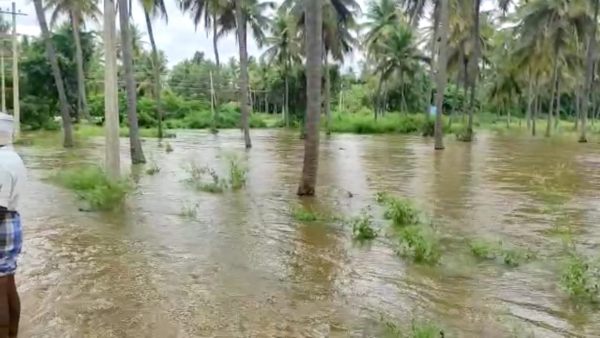 ಕೊಳವೆ ಬಾವಿಗಳಲ್ಲಿ ಉಕ್ಕುತ್ತಿರುವ ನೀರು