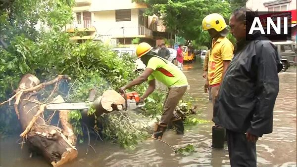 Chennai Rain Schools Colleges Closed In Chennai, Kancheepuram For days 