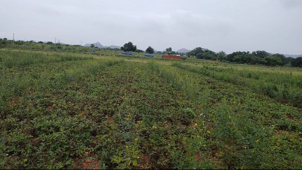  ಕಾರೋಬಯ್ಯನಹಟ್ಟಿ ಗ್ರಾಮದಲ್ಲಿ ಮೂವರು ಮೃತ