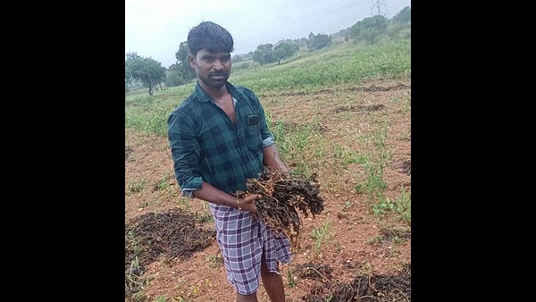  ಮಳೆಯಿಂದ ರೈತನಿಗೆ ಬರಸಿಡಿಲು