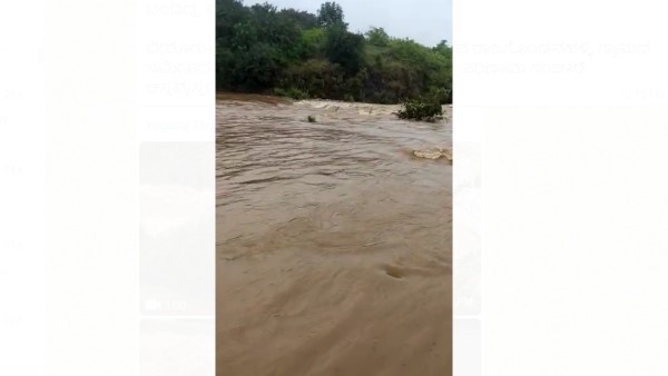  ನೀರಿನ ಸೊಬಗು ನೋಡಿ ಸಂತಸ ಪಡುತ್ತಿರುವ ಜನ