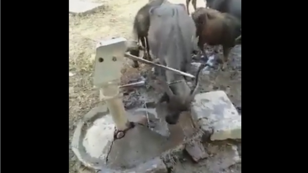 ಹ್ಯಾಂಡ್ ಪಂಪ್ ಮಾಡುವ ದೃಶ್ಯ