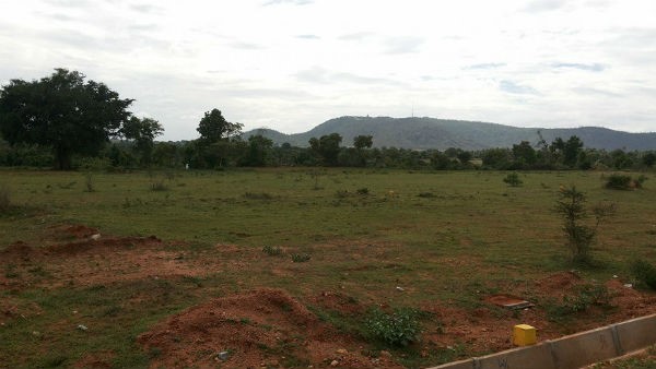 Land Bank in each district for the development of industries