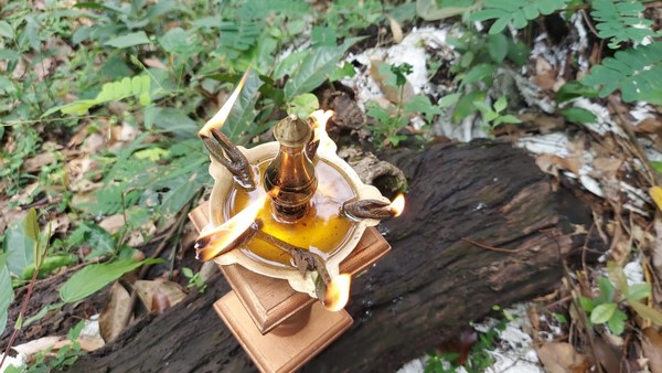 Mangaluru: Diya Lighting With Tree Shoot In Sullia