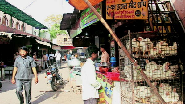 Vadodara: Order not to appear in carnivorous food In food stalls Vadodara: Order not to appear in carnivorous food In food stalls