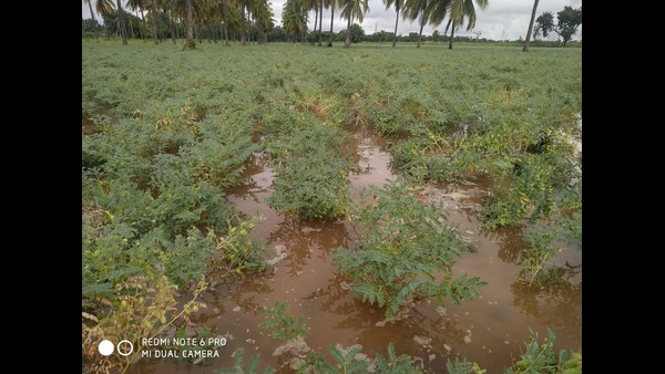 ರಾಮನಗರ ಮಂಚೇನಹಳ್ಳಿ ಕೆರೆ ರಿಪೇರಿ