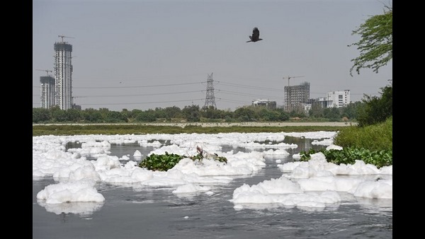 People take dip in Yamuna in the midst of toxic foam on Chhath Puja