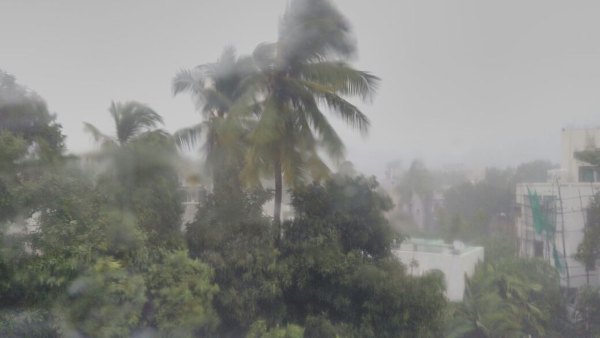 ವಿವಿಧ ರಾಜ್ಯಗಳಲ್ಲಿ ಮಳೆ