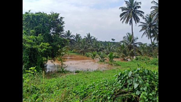 Ramanagara: The Melehalli Bridge Which Washed Out in Arkavati River; 7 villages People in Hardship