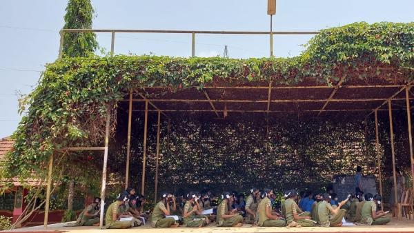 ಗಿಡ, ಬಳ್ಳಿಗಳ ನಿರ್ವಹಣೆ