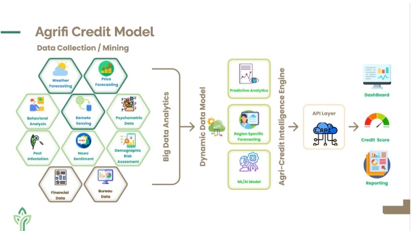 Agrifi startup that came up with a loan for agriculture traders