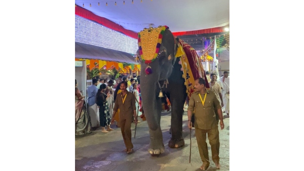  ಗಜರಾಣಿ ತೀವ್ರ ಚಿಂತಾಜನಕ ಸ್ಥಿತಿಗೆ ತಲುಪಿದ್ದಳು