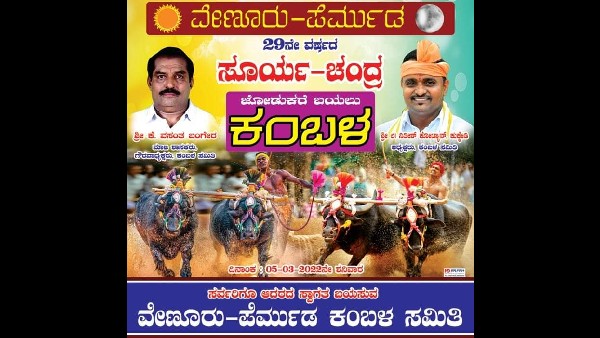 Mangaluru: Politics Interfere In The Kambala Sports; Congress- BJP fight for President Post