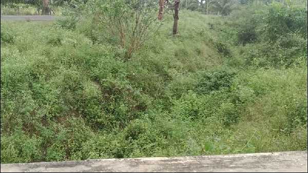 ಉತ್ತಮ ಮಳೆಯಿಂದ ಭರ್ತಿಯಾದ ಡ್ಯಾಂ