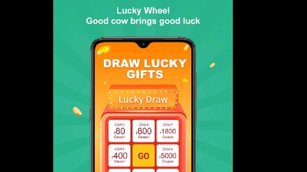 ಟಾಪ್ ದೋಖಾ ಸ್ಕೀಮ್ ವಿವರ