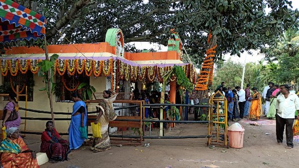 ಇಬ್ಬರು ಕಾಡುಗೊಲ್ಲರಿಗೆ ಟಿಕೆಟ್