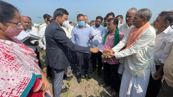 ಮಳೆಯಿಂದ ಬೆಳೆ ಹಾನಿ