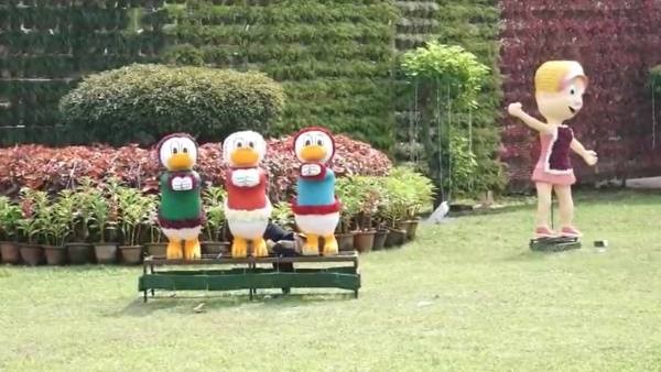 Christmas And New Year Celebration: Flower Show from December 25 in Mysuru