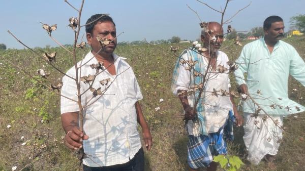 ವಿವಿಧ ಬೆಳೆಗಳಿಗೆ ಹಾನಿಯಾಗಿದೆ