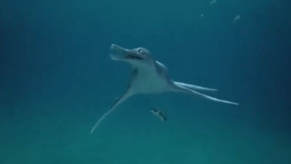 ಇಚ್ಥಿಯೋಸಾರ್ ಪತ್ತೆ ಕಾರ್ಯ