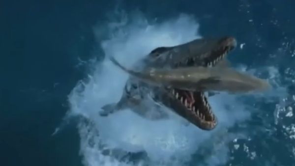 ದೈತ್ಯ ಜೀವಿಯಿಂದ ಅಪಾಯವಿದಿಯೆ?