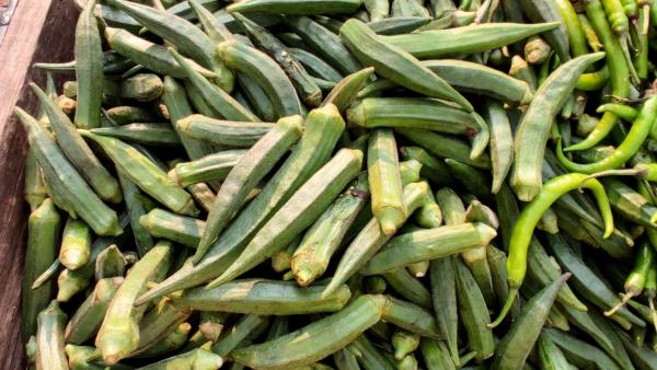 ಯಾಕಾಗಿ ದರ ಹೆಚ್ಚಳ?