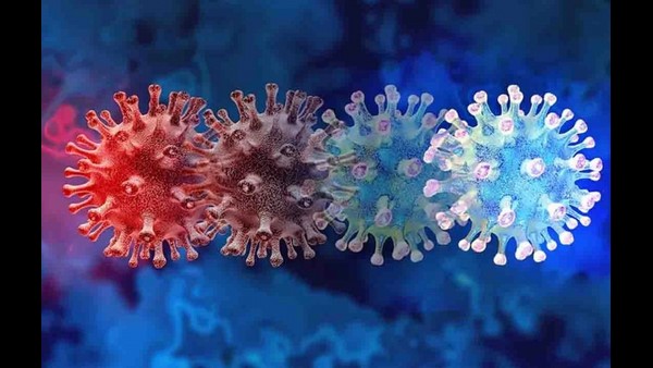 Omicron Covid Variant Scare: Two Africa Returnees in Home Quarantine In Hosapete