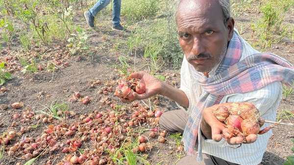 ವಿವಿಧ ಪ್ರದೇಶಗಳಿಗೆ ಭೇಟಿ
