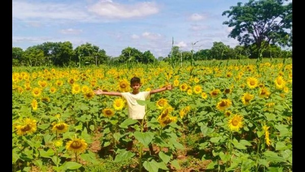 ಆ ಕಲ್ಪನೆ ರೈತರಿಗೆ ಆದಾಯ ತಂದಿತ್ತು ಆ ಕಲ್ಪನೆ ರೈತರಿಗೆ ಆದಾಯ ತಂದಿತ್ತು