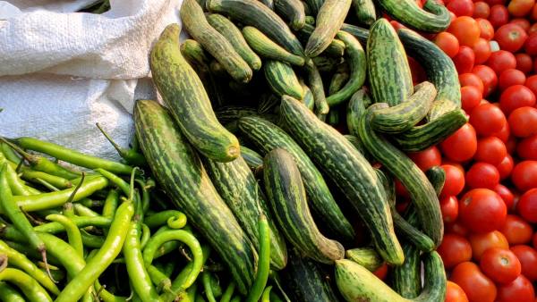 ನುಗ್ಗೇಕಾಯಿಗೆ ಡಿಮ್ಯಾಂಡಪ್ಪೋ ಡಿಮ್ಯಾಂಡ್