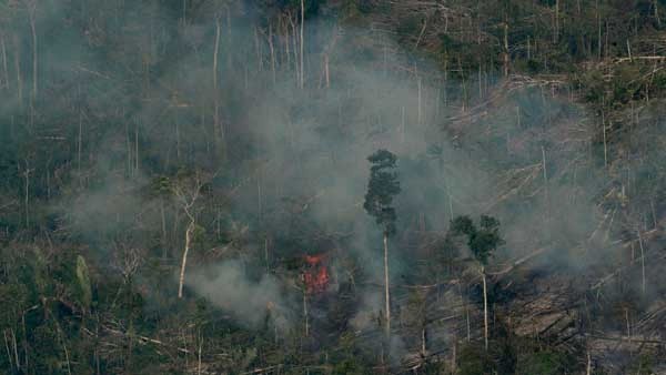 ಭೂಗಳ್ಳರಿಂದ ಅರಣ್ಯ ನಾಶ