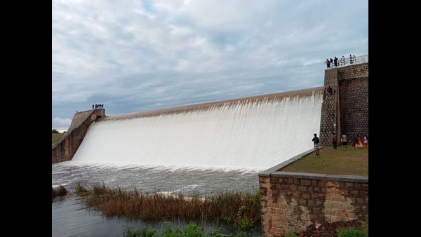  ಚಿತ್ರದುರ್ಗದಲ್ಲಿ ಬೆಳೆ ಹಾನಿ