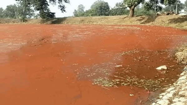 ಸ್ಥಳೀಯರಲ್ಲಿ ಆಶ್ಚರ್ಯ