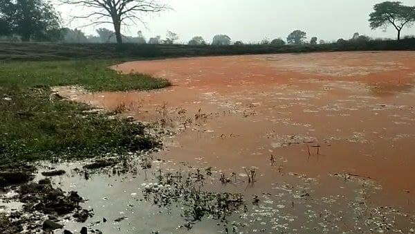 ಸರೋವರದ ಬಗ್ಗೆ ವ್ಯಾಪಕ ಚರ್ಚೆ