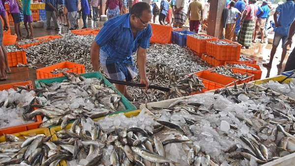 Union Budget 2022; Expectations Of Coastal Fishermen