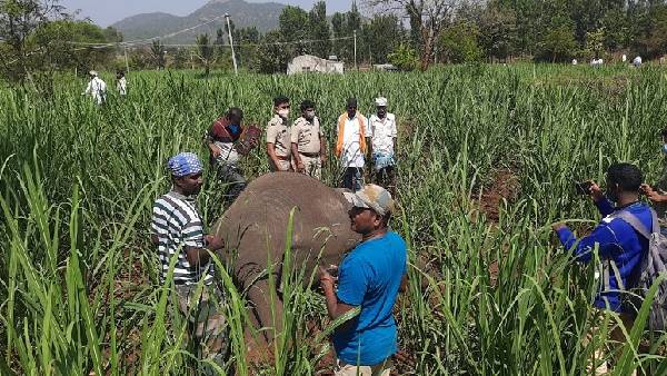  ರೈತರ ಸಂಕಷ್ಟ ಕೇಳುವವರು ಯಾರು?