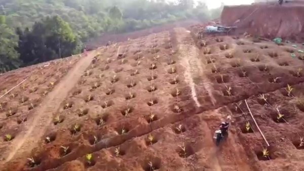 ಸಾಮಾಜಿಕ ಜಾಲತಾಣದಲ್ಲಿ ವೈರಲ್