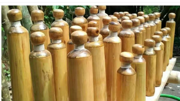 ಬಿದಿರು ಬೆಳೆಯಲು ಹೆಸರು ನೋಂದಾಯಿಸಿದರೆ ಉಚಿತ ತರಬೇತಿ 