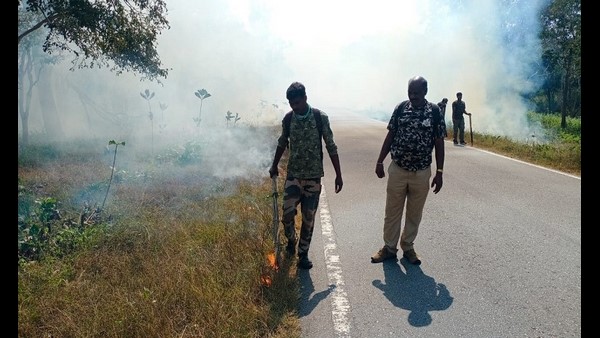 ಬಂಡೀಪುರ ಹೆದ್ದಾರಿಯಲ್ಲಿ ಬೆಂಕಿ ರೇಖೆ ಬಂಡೀಪುರ ಹೆದ್ದಾರಿಯಲ್ಲಿ ಬೆಂಕಿ ರೇಖೆ
