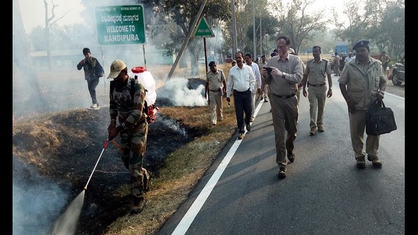 ಅರಣ್ಯ ರಕ್ಷಣೆ ಎಲ್ಲರ ಕರ್ತವ್ಯ ಅರಣ್ಯ ರಕ್ಷಣೆ ಎಲ್ಲರ ಕರ್ತವ್ಯ